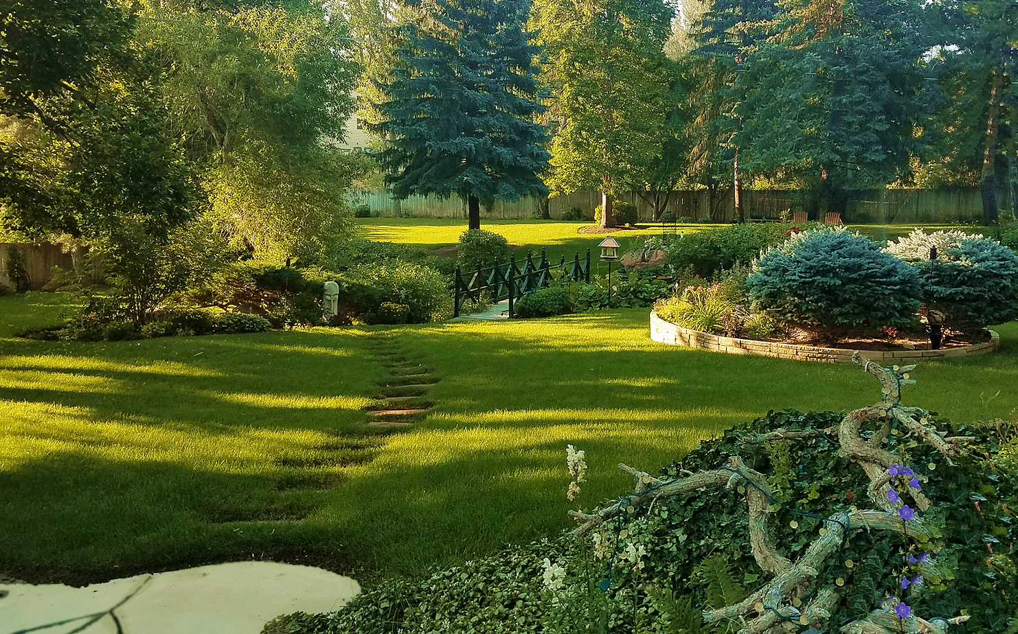 Worry-Free Landscaping & Maintenance